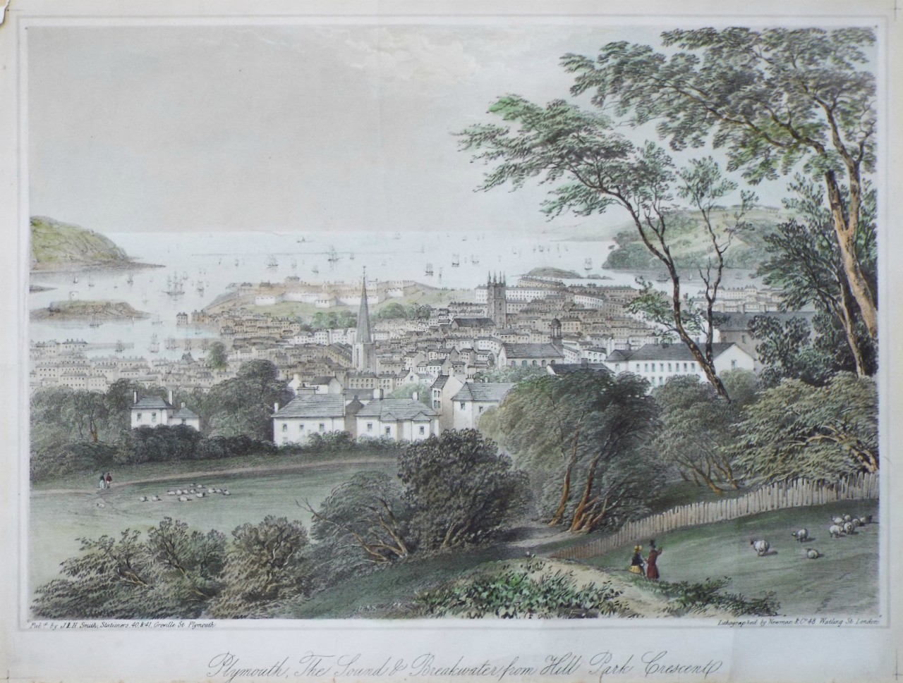 Lithograph - Plymouth, The Sound & Breakwater from Hill Park Crescent. - Newman